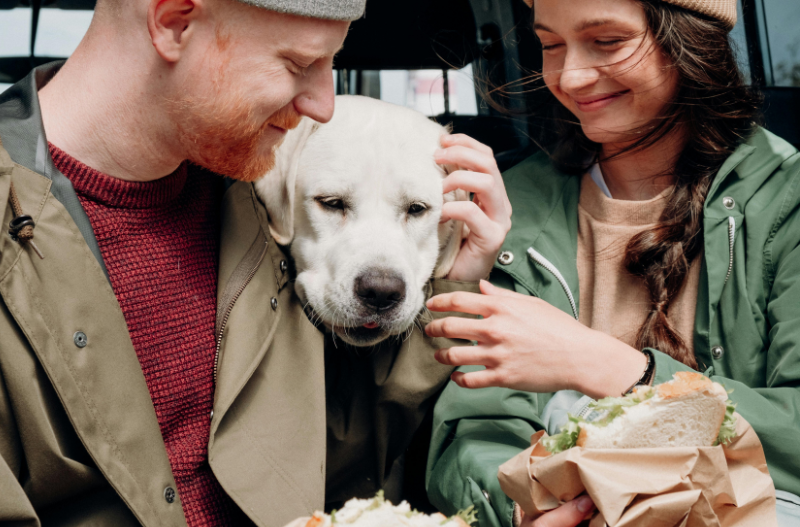 Grieving the loss of a pet