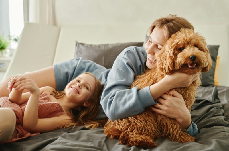 The advantages of having a dog at home