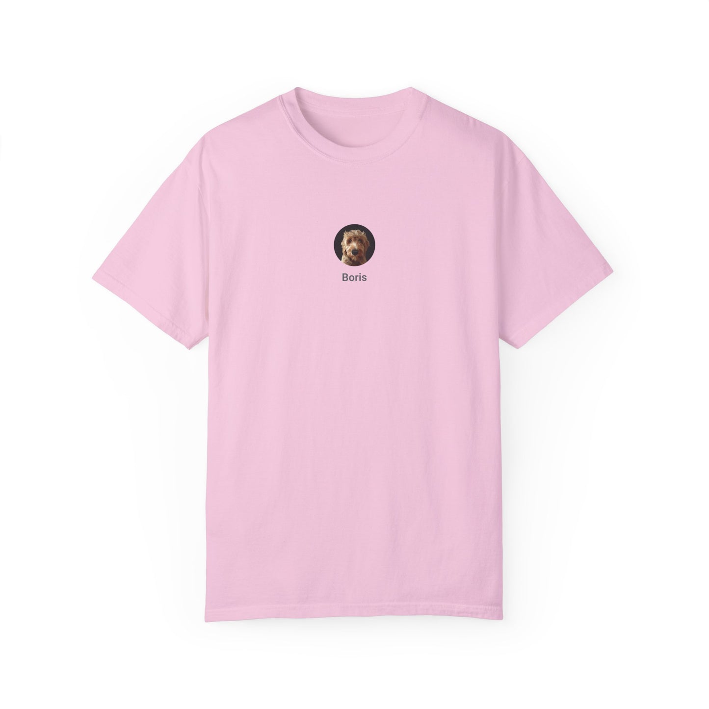 Cartoon Painting Style Pet Portrait on a Unisex Garment-Dyed T-shirt - Logo Style