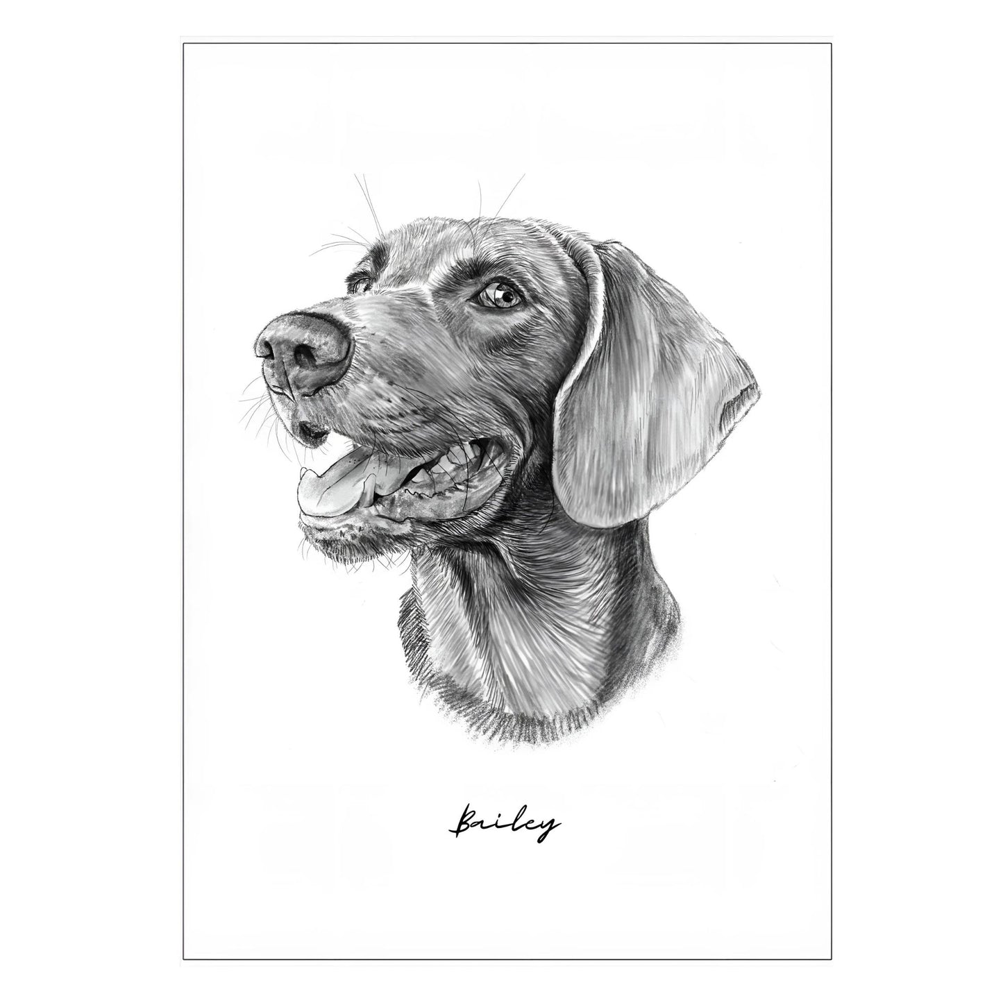 Hand-Drawn - Digital File