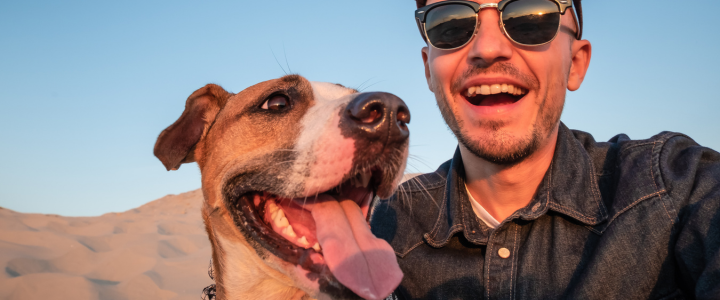 Best Pet Portrait Styles