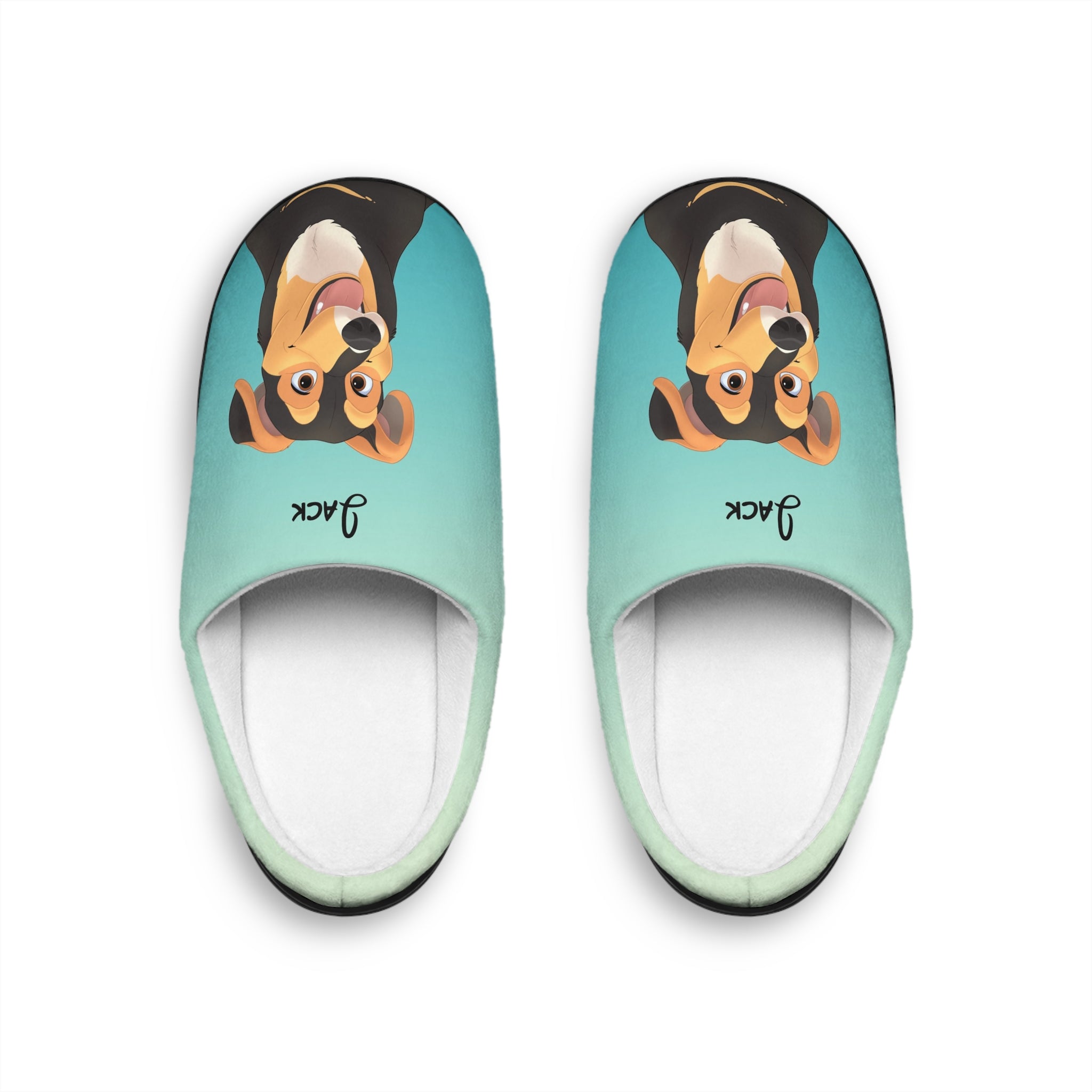 Disney-Style Cartoon Pet Portrait on Men's Indoor Slippers