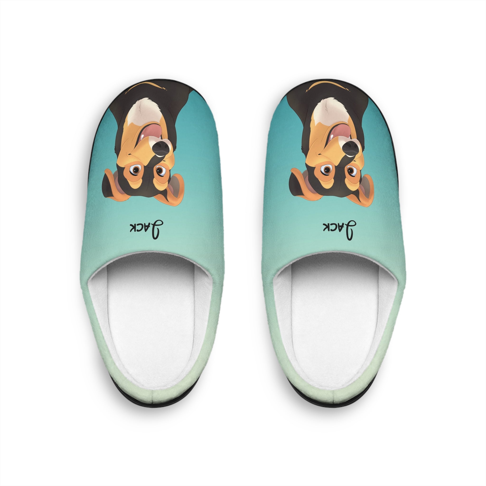 Disney-Style Cartoon Pet Portrait on Women's Indoor Slippers