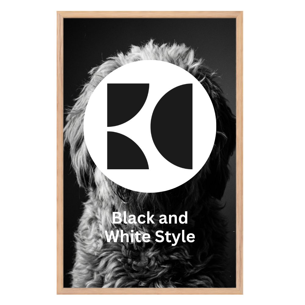 Black And White Style