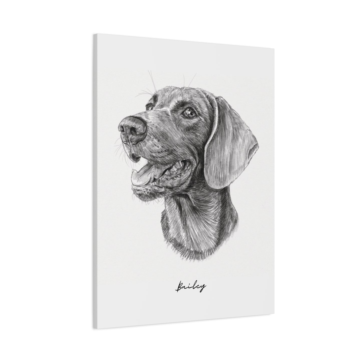 Hand-drawing Style Pet Portrait - Canvas